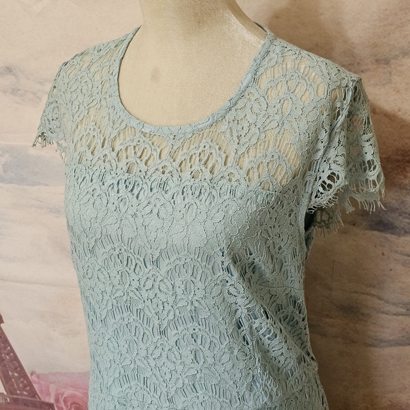 NWT Lane Bryant lace lined dress sz 22 - Picture 3 of 11